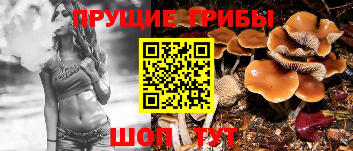 Таганрог  Псилоцибиновые грибы мухоморы  Вход с VPN 
